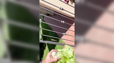 Vicina di casa upskirt