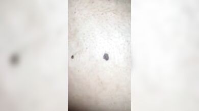 Mia moglie inculata a pecorina