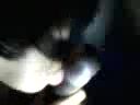 My wife blowjob black cock first time