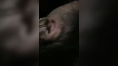 Succhiamelo adesso troia che sborro