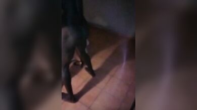 Moglie scopata da africano e il ocrnuto guarda
