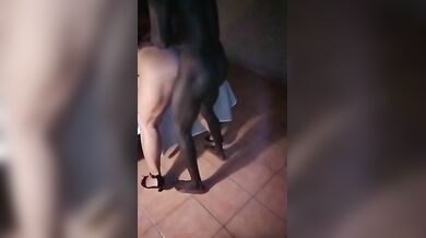 Moglie scopata da africano e il ocrnuto guarda